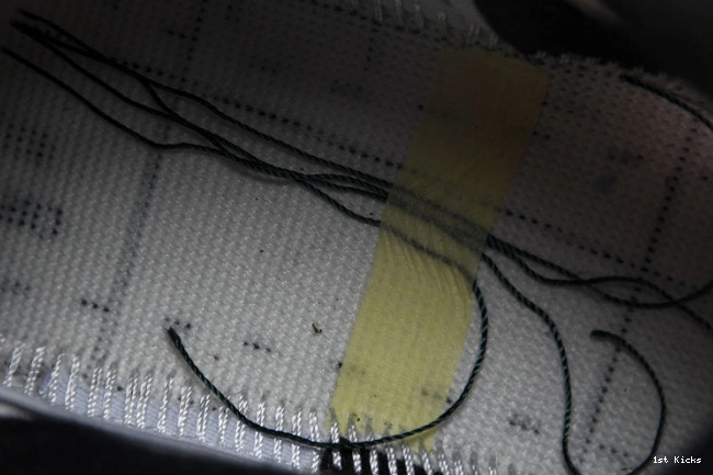 Duckman Ducks Retro Jordan 4 257-255275 Oregon 0724